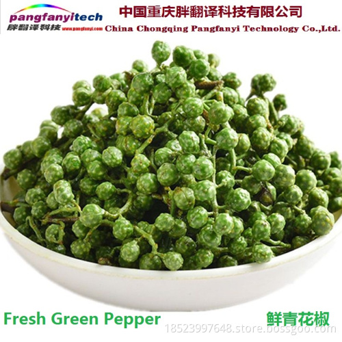 Fresh Nutritional Spicy Tasty Self-planted Green Pepper